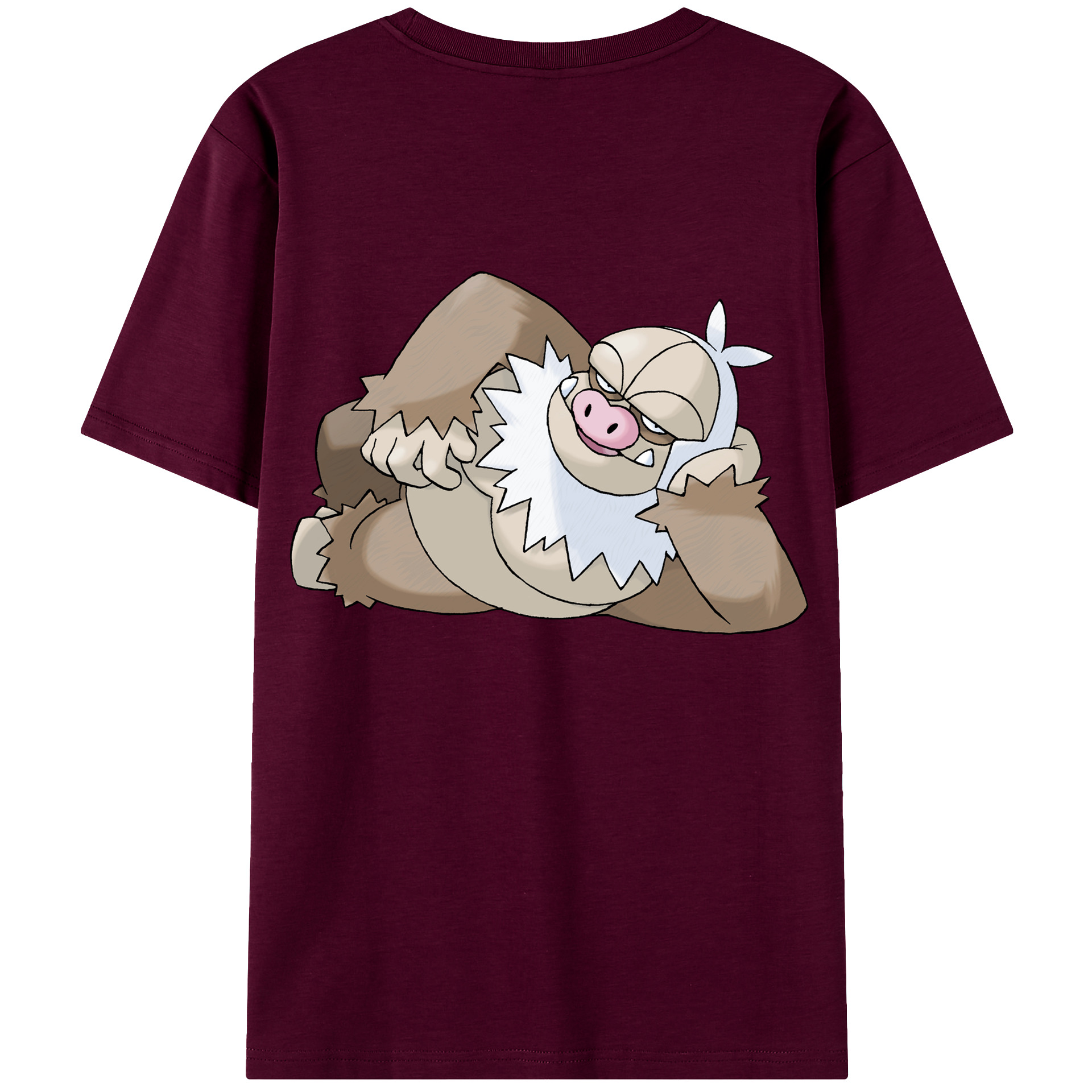 （画像用） ポケットモンスター Pokémon レディース半袖Tシャツ(バックプリント)